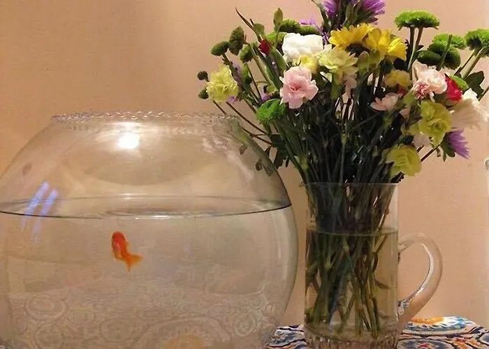 Al Ponte Del Papa Bed & Breakfast Řím