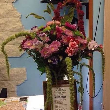 Al Ponte Del Papa 4*